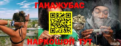 мяу мяу мука Будённовск