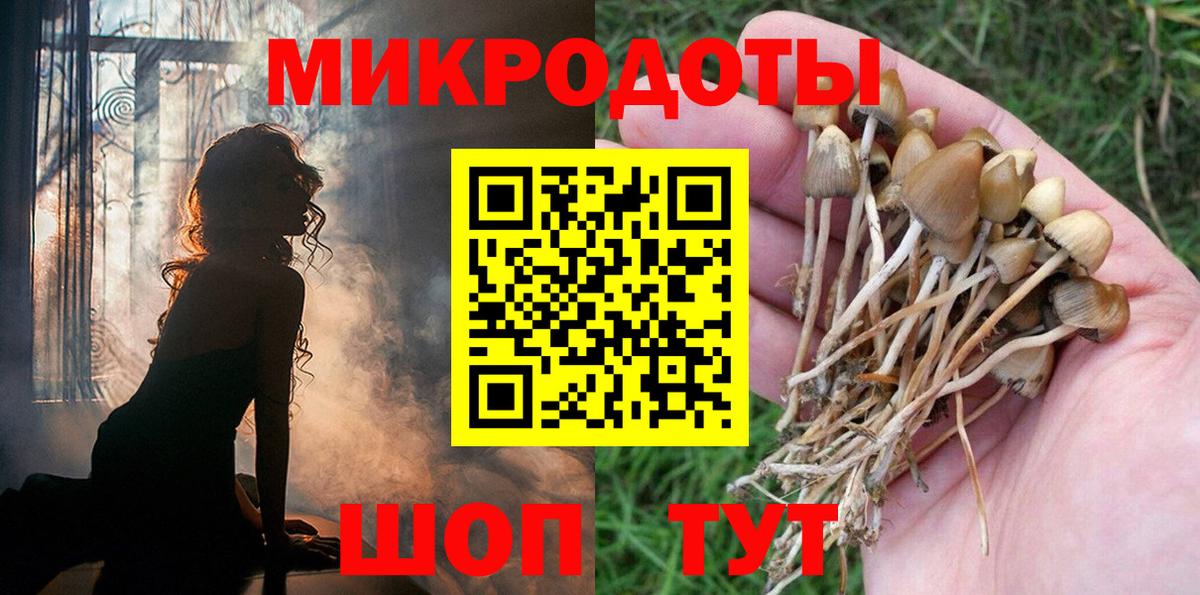купить наркотики цена  Галлюциногенные грибы Psilocybe  Вход с VPN  Новошахтинск  Псилоцибиновые грибы прущие грибы 